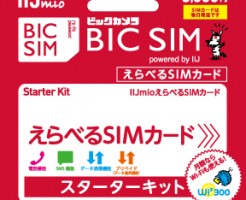BIC SIM えらべるSIMカード powered by IIJ